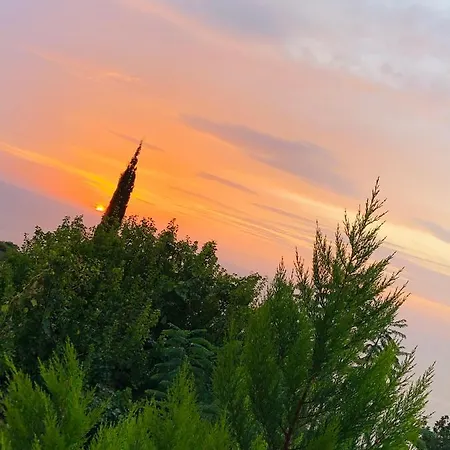 Suleymans Garden Bed and breakfast