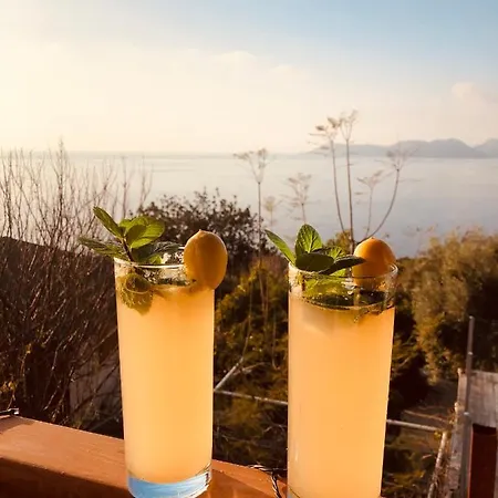 Oda ve Kahvaltı Suleymans Garden Faralya