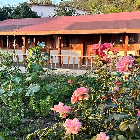 Suleymans Garden לינה וארוחת בוקר