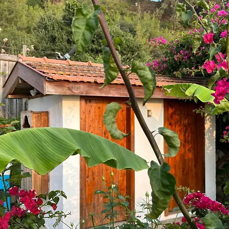 Suleymans Garden לינה וארוחת בוקר