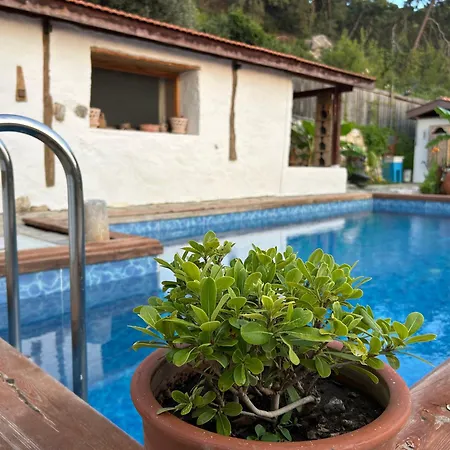 Oda ve Kahvaltı Suleymans Garden