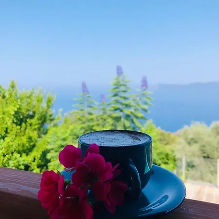 Panzió Suleymans Garden Faralya