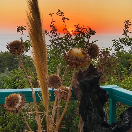 Suleymans Garden לינה וארוחת בוקר