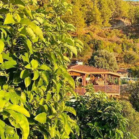 Suleymans Garden * פאראליה
