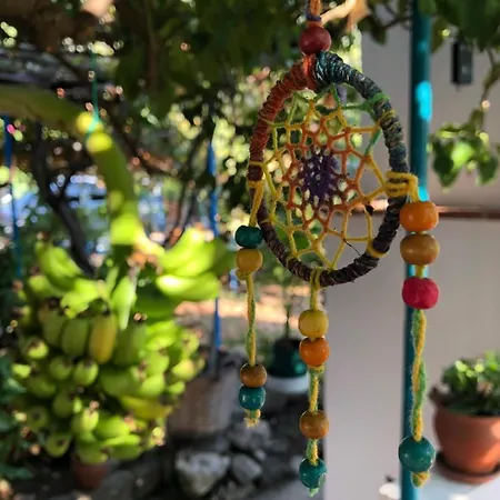 לינה וארוחת בוקר Suleymans Garden
