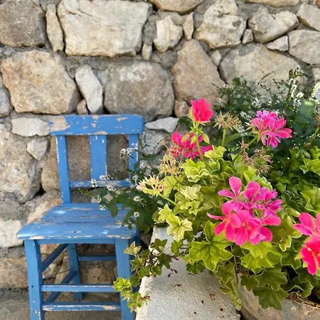 Couette-café Suleymans Garden Faralya