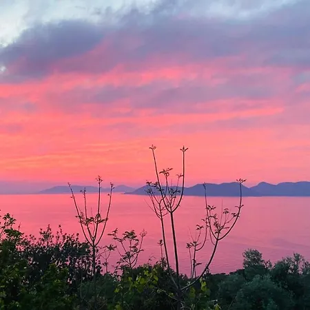 Suleymans Garden فندق مبيت وإفطار *