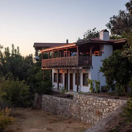 Suleymans Garden فاراليا