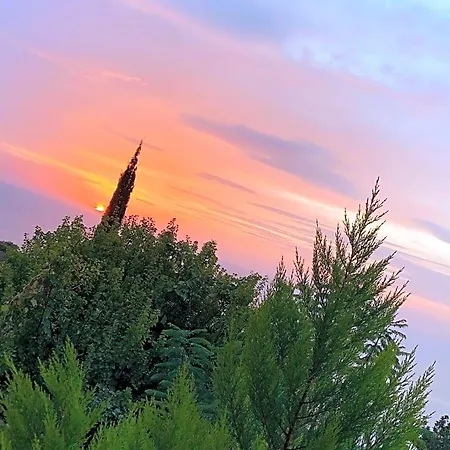 فندق مبيت وإفطار Suleymans Garden فاراليا