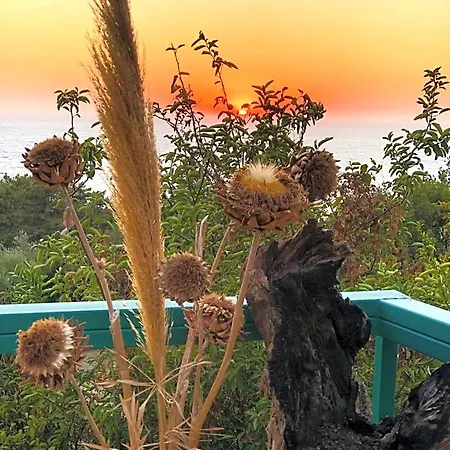 فندق مبيت وإفطار Suleymans Garden