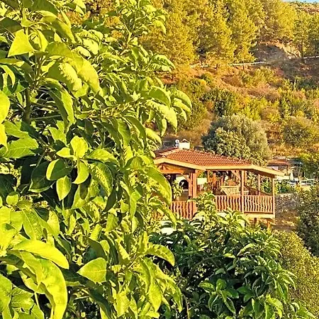 לינה וארוחת בוקר Suleymans Garden