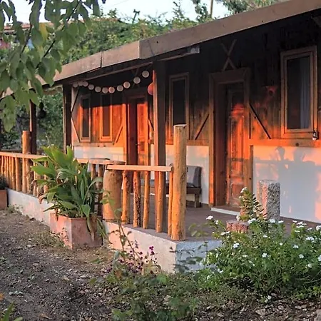 Suleymans Garden فندق مبيت وإفطار *