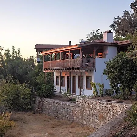 לינה וארוחת בוקר Suleymans Garden פאראליה