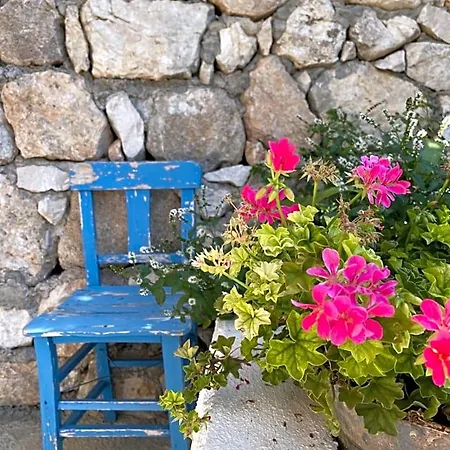 Suleymans Garden فاراليا